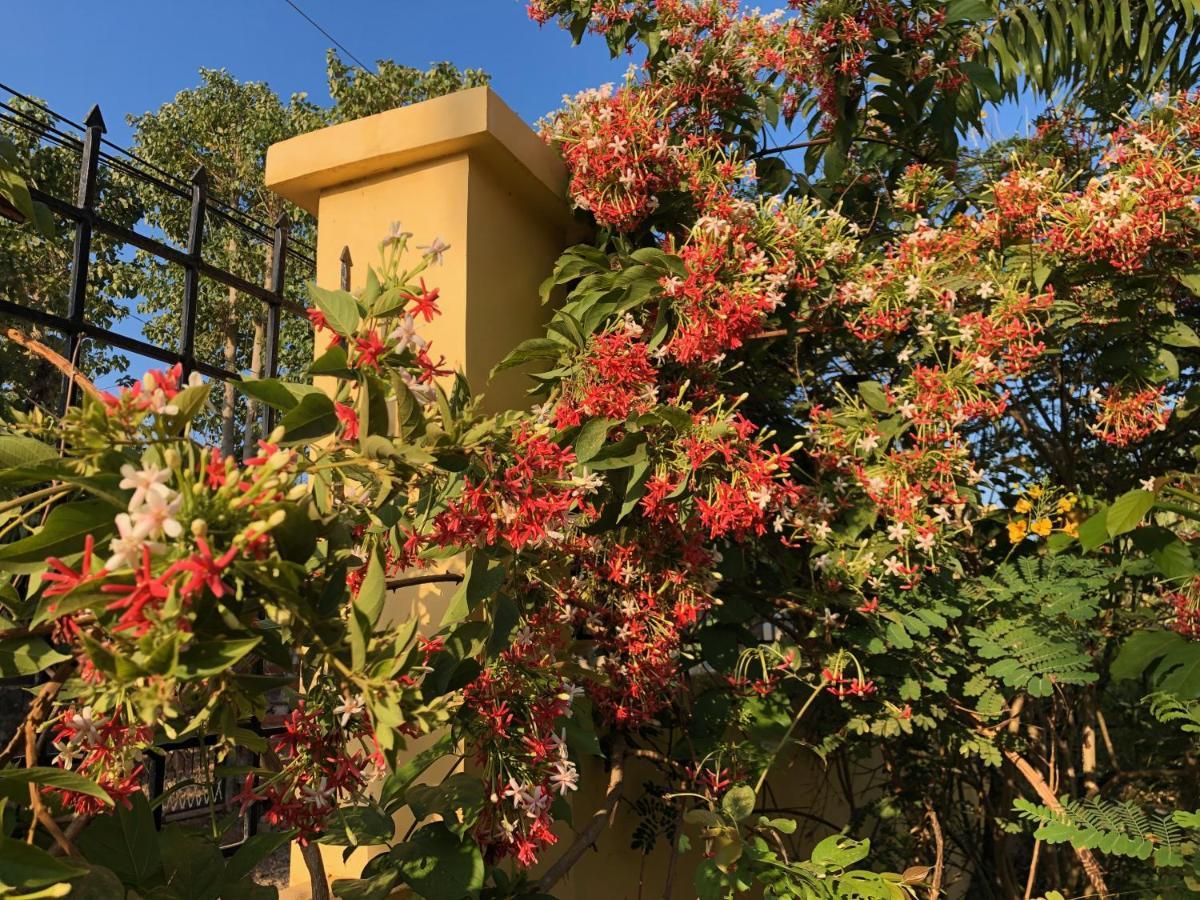 Strutz Art Garden Resort Bangued Zewnętrze zdjęcie